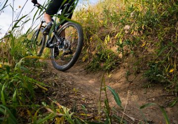 Biking trail construction has boomed in recent years. Now, you can check out Trailforks or Strava and head out.