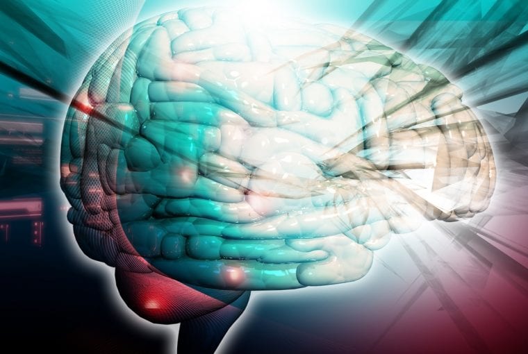 a illustration os a brain