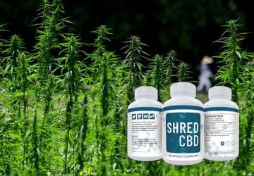 Shred CBD product in front of plants