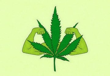 cannabis leaf with muscles