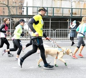 People running with a dog