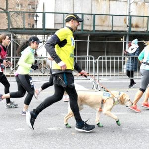 People running with a dog