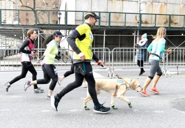 People running with a dog