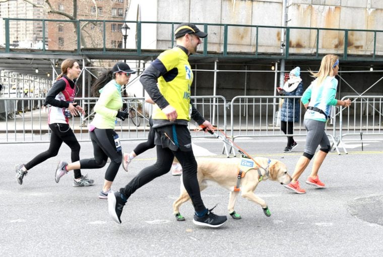 People running with a dog