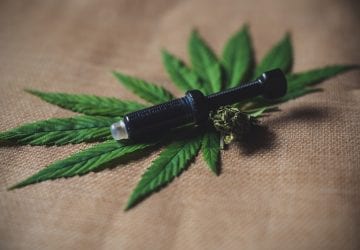 CBD oil in a vial on top of a cannabis leaf