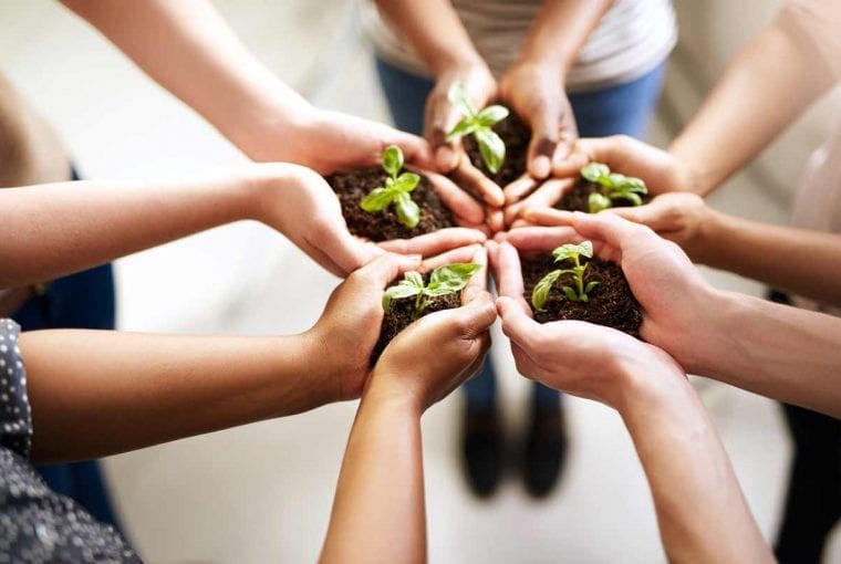 people in a circle holding plants