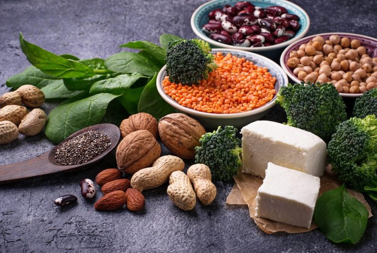 none meat protein