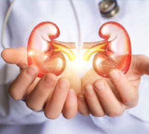 kidney health