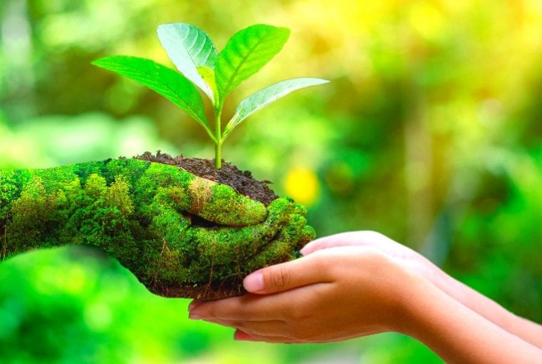 eco friendly