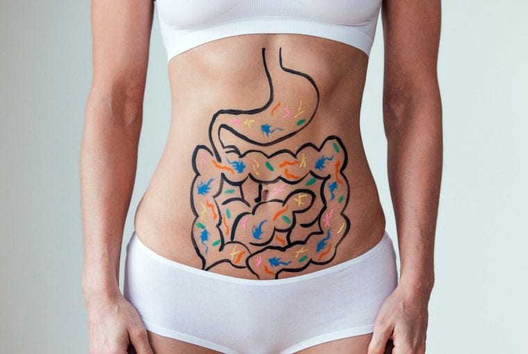 illustration of the digestive system