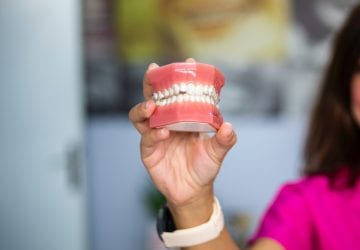 a dentist holding a model of teeth