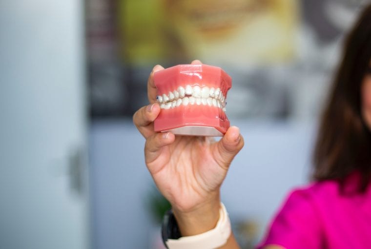 a dentist holding a model of teeth