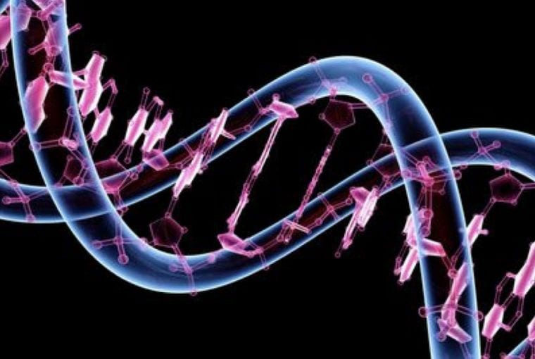 dna