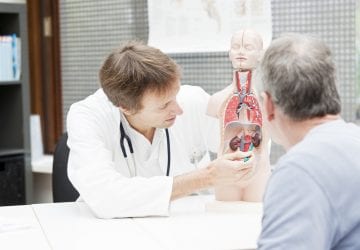 a doctor showing a patient a model of the urinary system