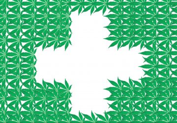 a cannabis illustration