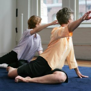 feldenkrais