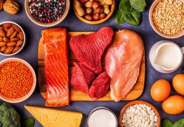 Sources of healthy protein - meat, fish, dairy products, nuts, legumes, and grains.