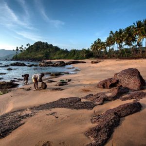 a beach in Goa India