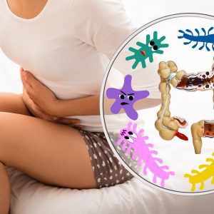 an illustration of gut microbes