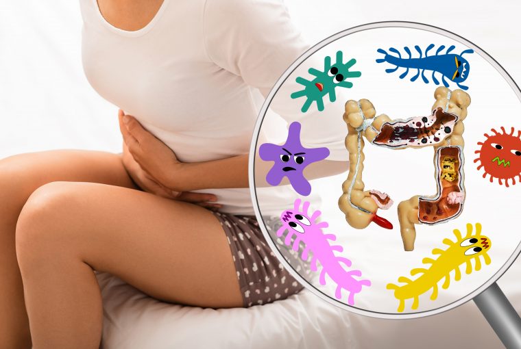 an illustration of gut microbes