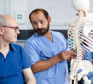 a chiropractor showing a patient a skeleton