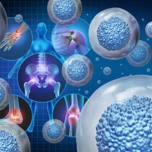 an illustration of an assortment of cells