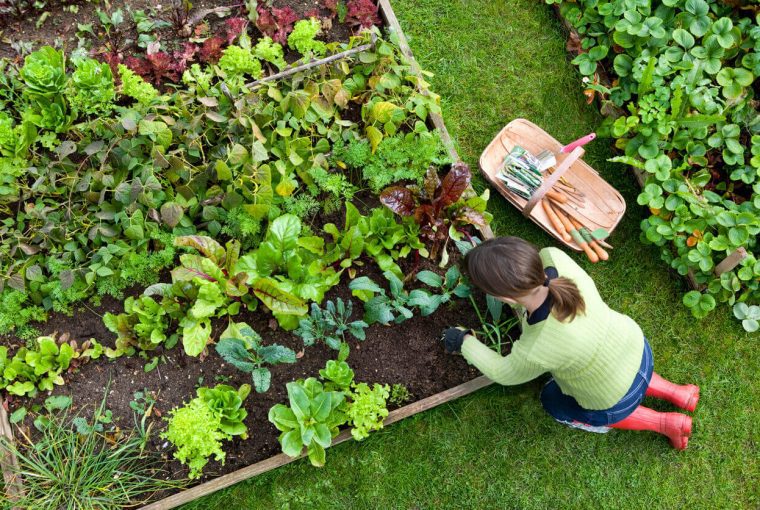 a woman working in her garden