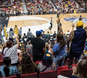 a group of fans cheering