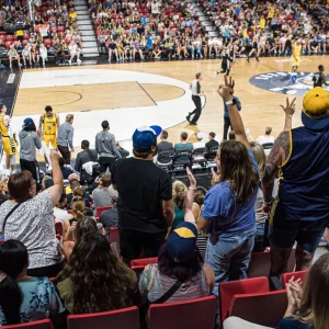 a group of fans cheering