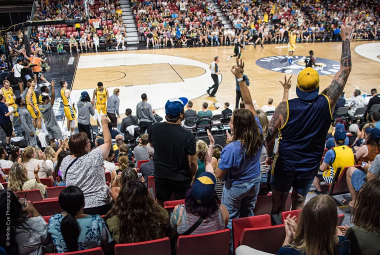 a group of fans cheering
