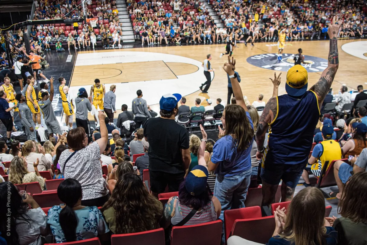 a group of fans cheering