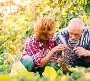 a woman caring for her senior father