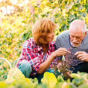 a woman caring for her senior father