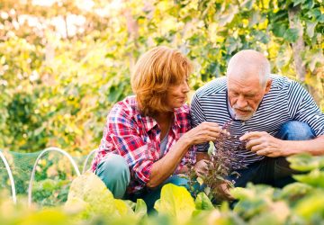a woman caring for her senior father