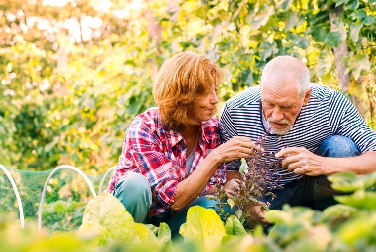 a woman caring for her senior father