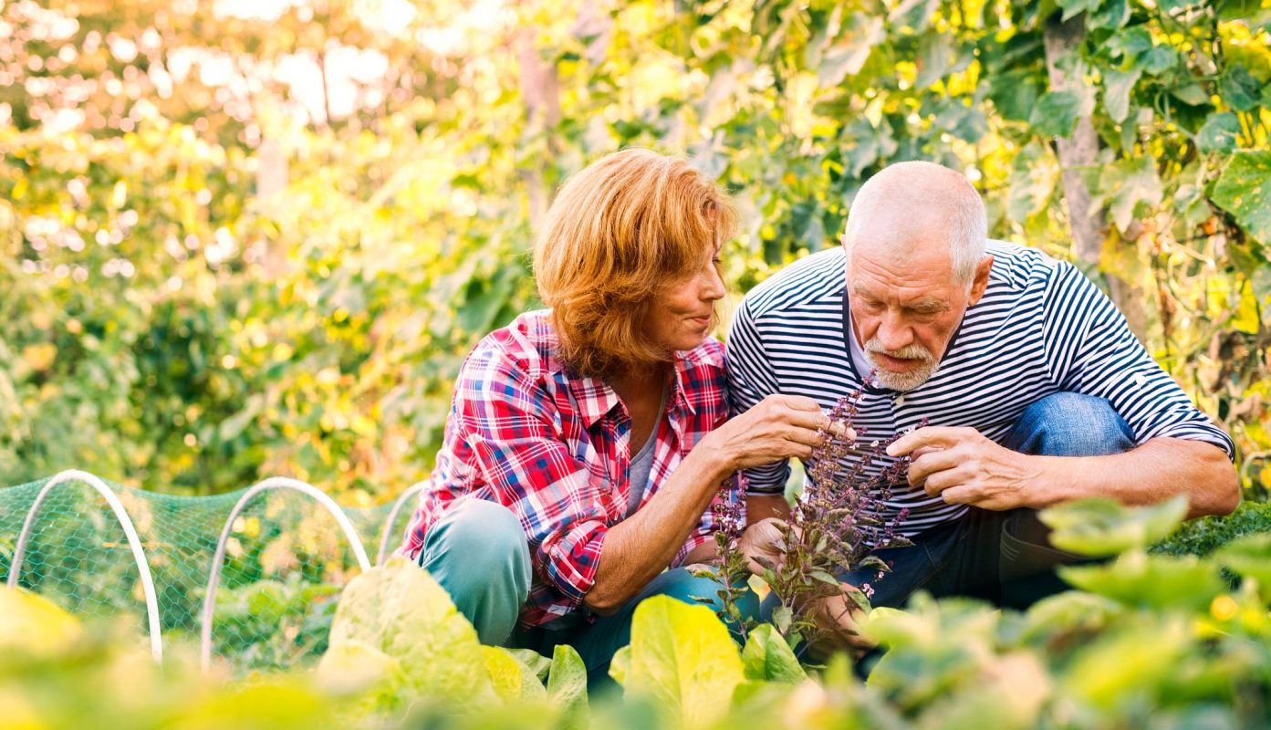 a woman caring for her senior father