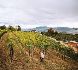 a worker walking through a vineyard