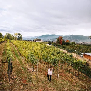 a worker walking through a vineyard