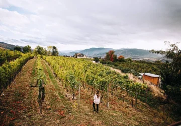 a worker walking through a vineyard