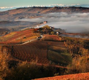 the Barolo region in Italy