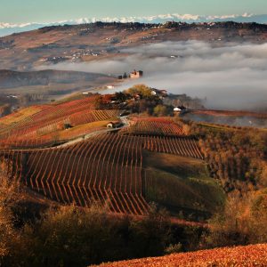 the Barolo region in Italy