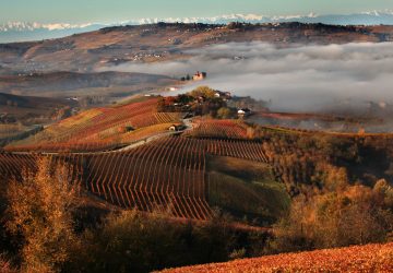 the Barolo region in Italy