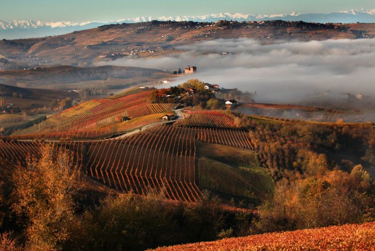 the Barolo region in Italy