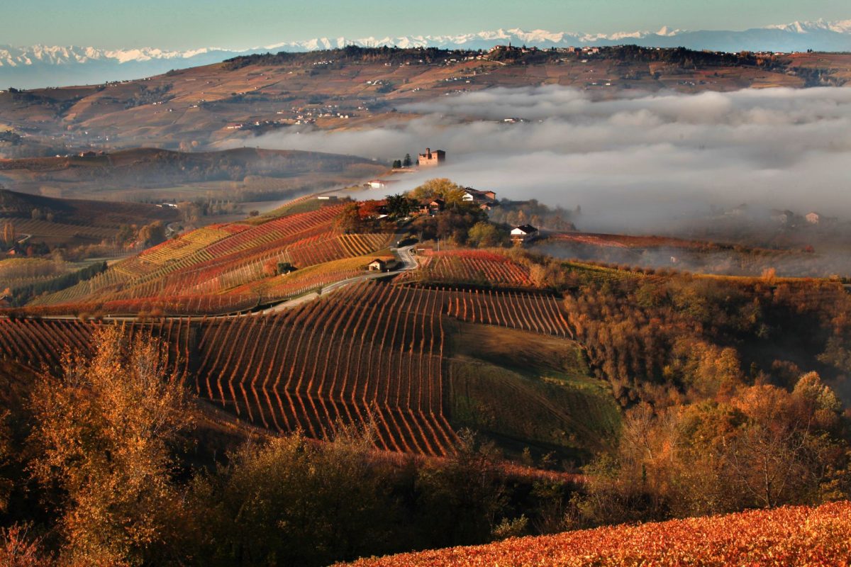 the Barolo region in Italy