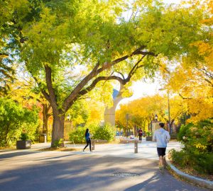 walking in edmonton in the fall