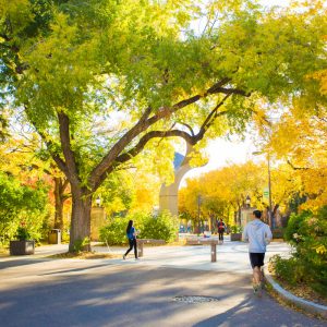 walking in edmonton in the fall