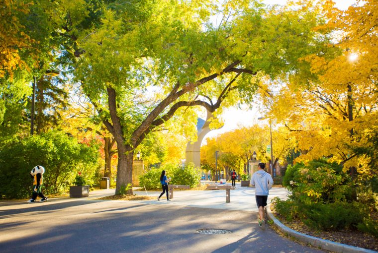 walking in edmonton in the fall